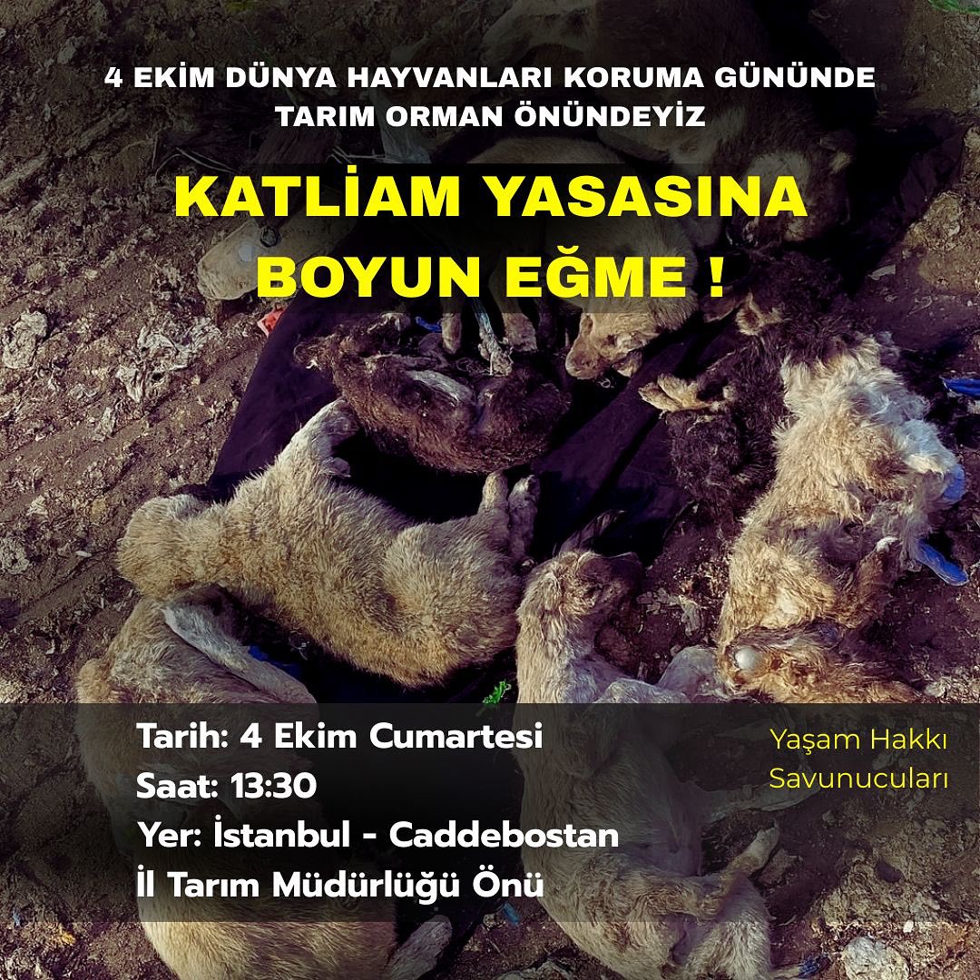 Sokak Hayvanlarımızın Yaşam Hakkı Ellerinden alınırken SUSMAYACAĞIZ . 

Katliam Yasasına Boyun Eğmeyeceğiz. 

Masum canlılarımızın ‘ YAŞAM HAKLARI’ nı yeniden onlara teslim edene kadar mücadele etmeye devem edeceğiz

📅 4 EKİM 

🕣 13:30 

📍İst Caddebostan İl Tarım Müdürlüğü önü