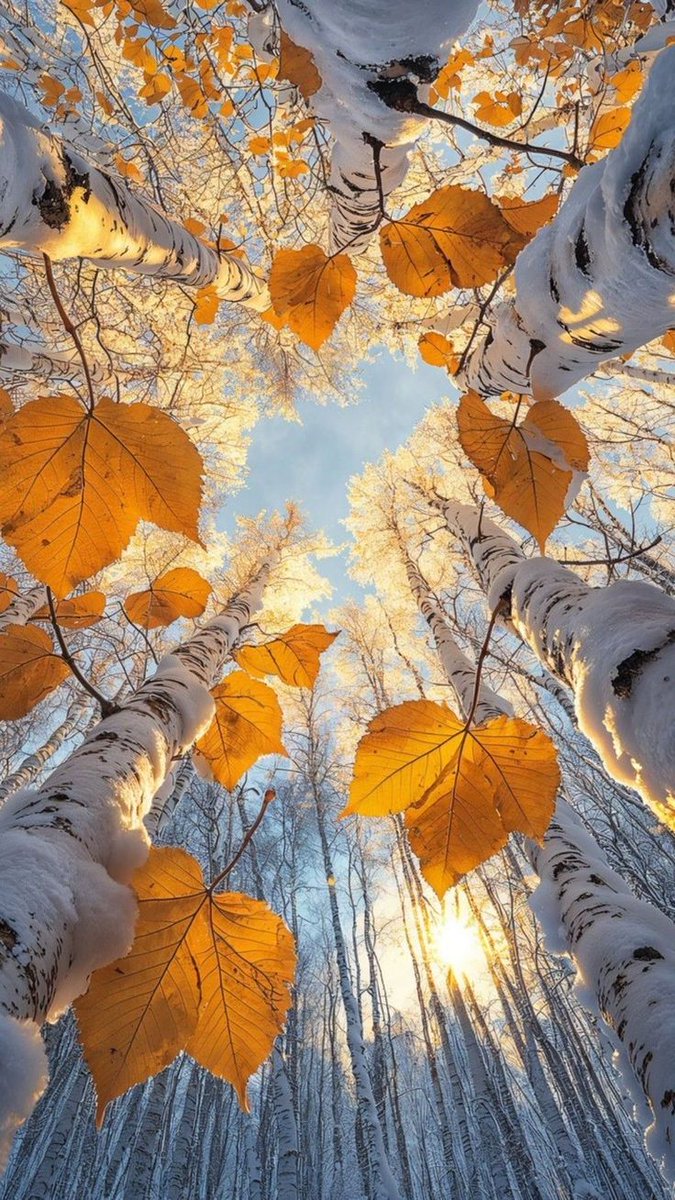 <a href="/solo_io__/">Ant❤️nella</a> Ben ritrovata, Antonella 🌹🎶Grazie! Buongiorno e buon mercoledì di leggerezza e serenità 🍀🌺🌈🌸🍂🍁🦋🌞☕☕😊😊