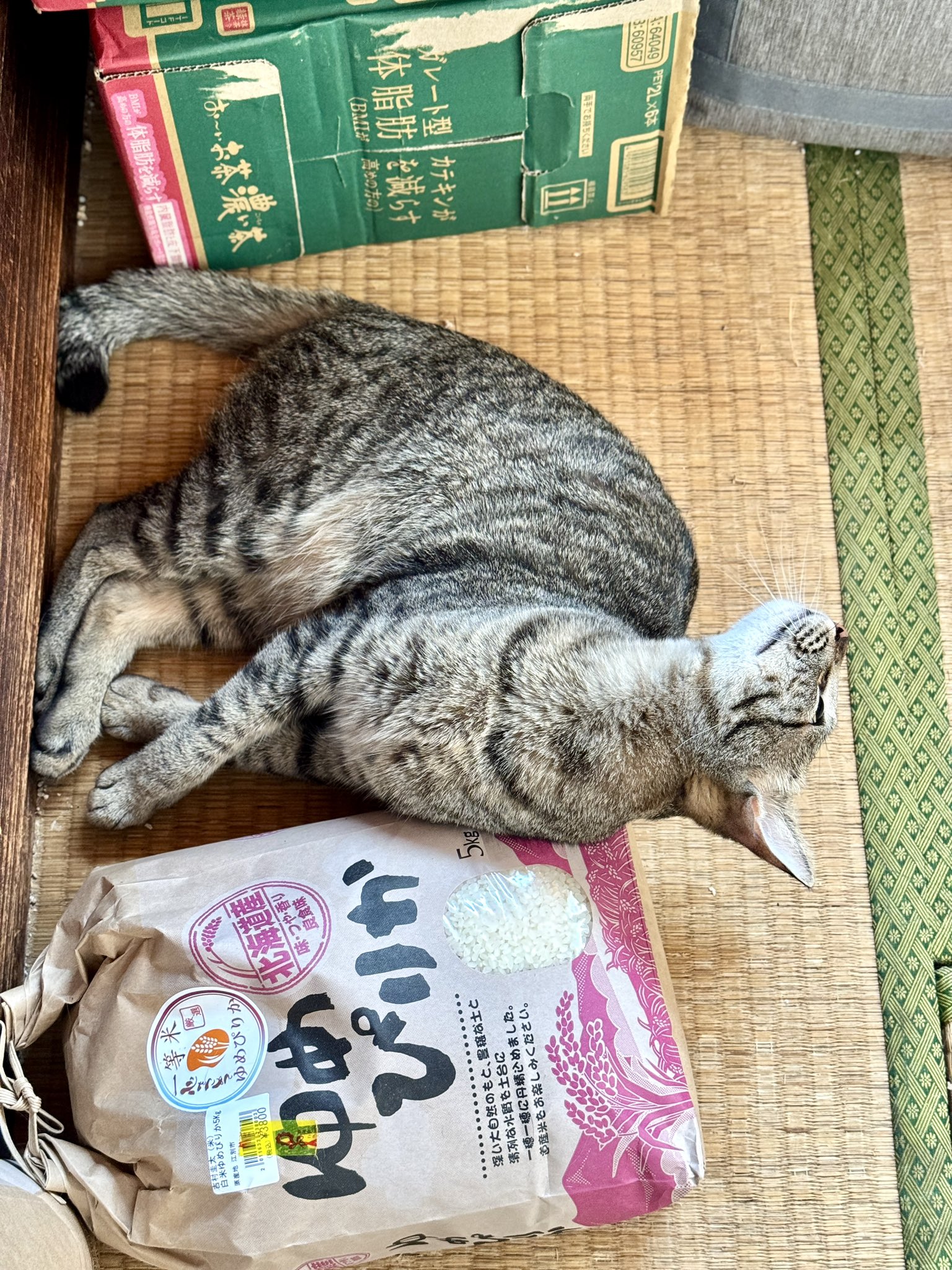 ラブ 😸💕 on X: 