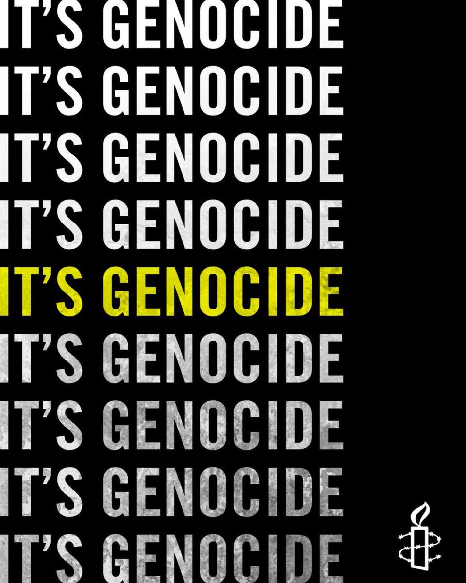 📌 Récapitulons. (liens en commentaire)

🔎 Une Commission d’enquête de l’ONU conclut qu’Israël a commis un génocide contre le peuple palestinien.
💬 Réponse d’Israël : « Antisémite. »

🔎 Association internationale des études sur le génocide (IAGS) – résolution officielle en