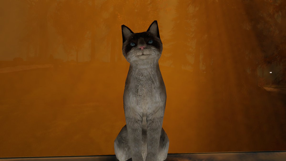 minteaeevee's tweet image. Every wastelander needs a kitty friend #Bethesda #Fallout76 #fallout #falloutcommunity @Bethesda_UK @Fallout @JonRush1977