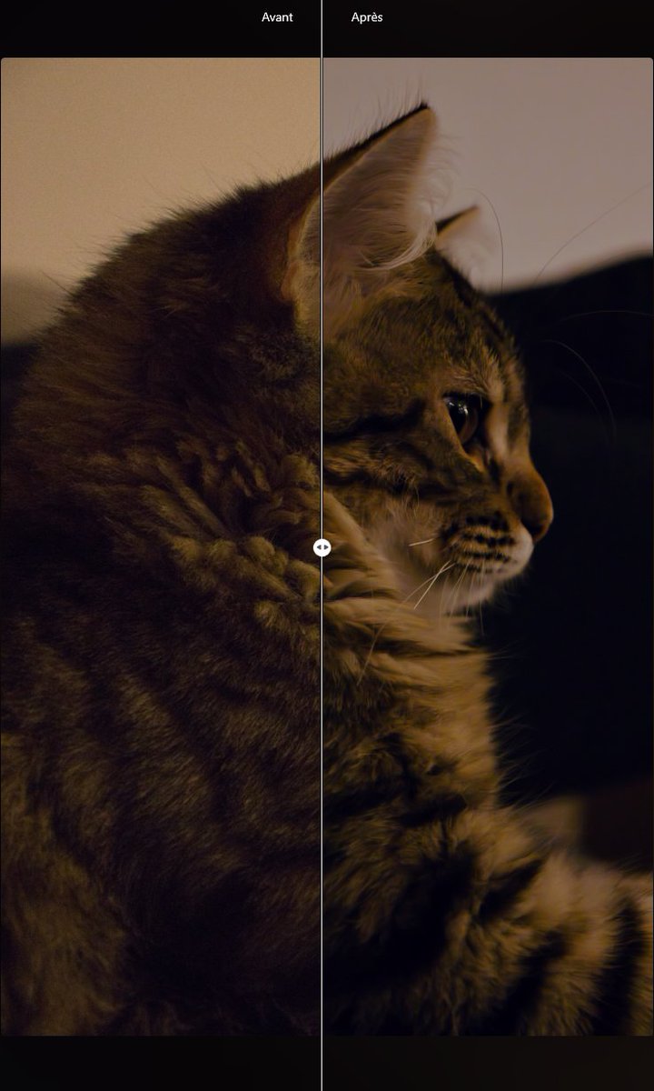 TheDragoon1010's tweet image. Allez, on continue. Deux nouvelles photos de (mon) chat, retouché avec Luminar. 🥰

Et en prime, un petit avant après sur chaque photo.