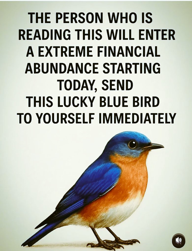 secretmanifesto's tweet image. Affirm Yes 💰