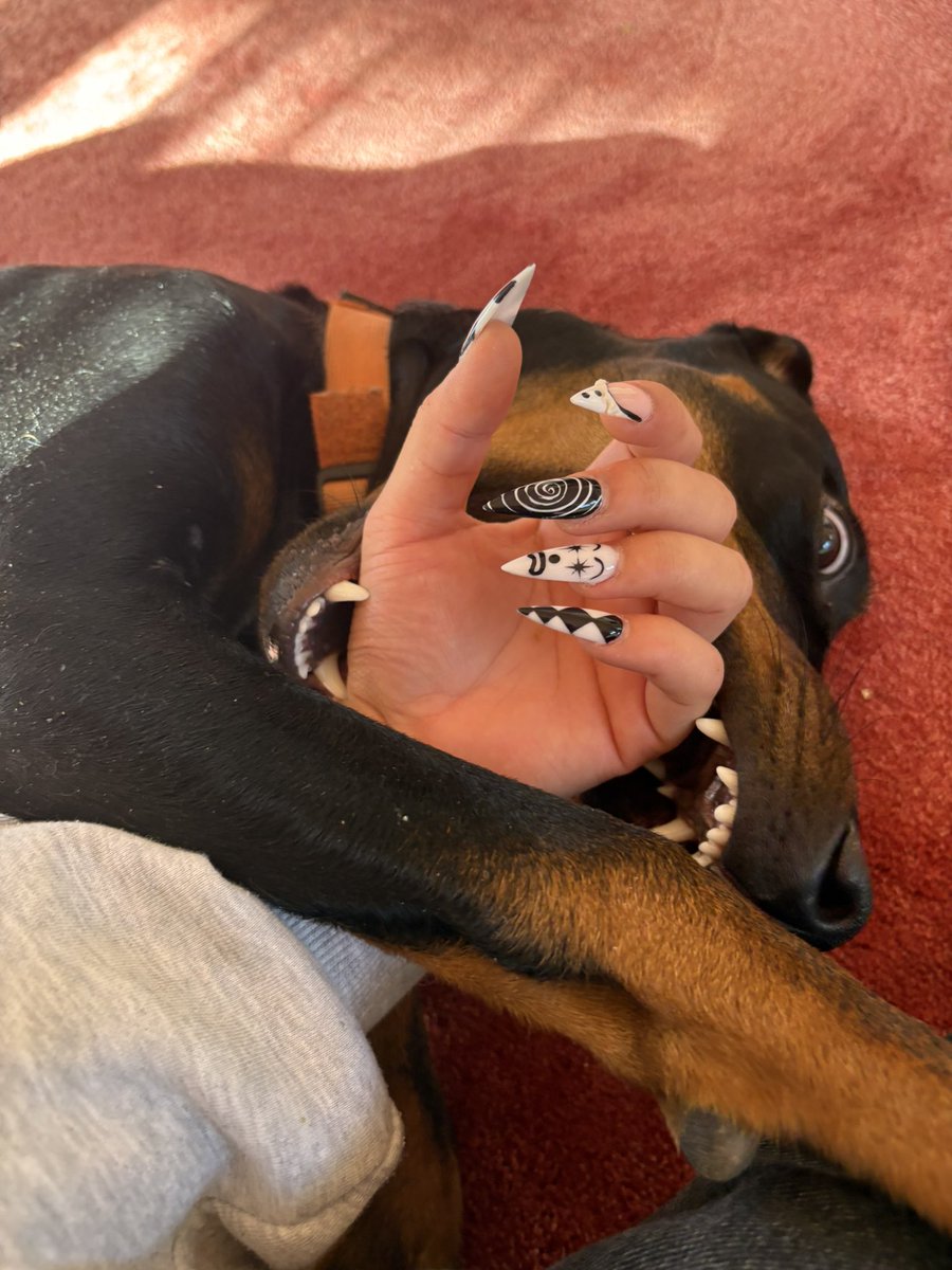 Nail reveal 🥰 (ignore the dog )