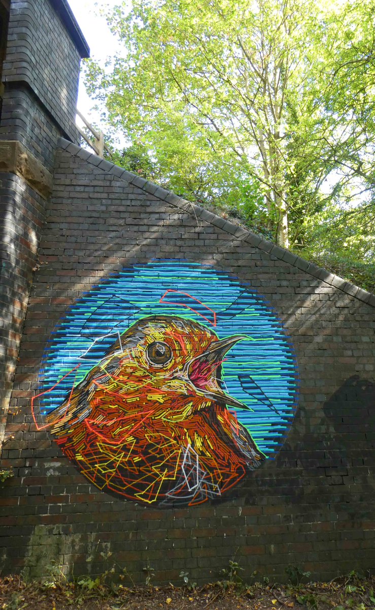 GRAFFOFLARGE's tweet photo. ROBIN CALL...... #RSPB #ROBIN #REDBREAST https://t.co/P6koihMGC8