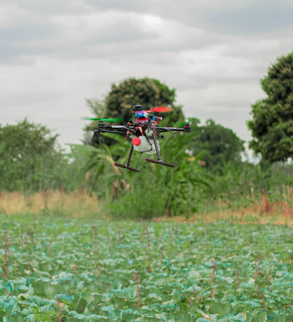 In Tanzania, a new wave of digital innovation is connecting young agripreneurs directly with farmers. 

In Mlali, Mvomero, farmers recently tested digital solutions developed by startups from the first cohort of the KilimoTech Accelerator program. These tools are revolutionizing