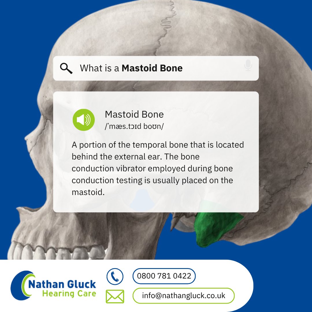 What is... a Mastoid Bone?

A mastoid bone is a portion of the temporal bone, located behind the external ear. 👂🦴

#EarCare #HearingLoss #HearingCare