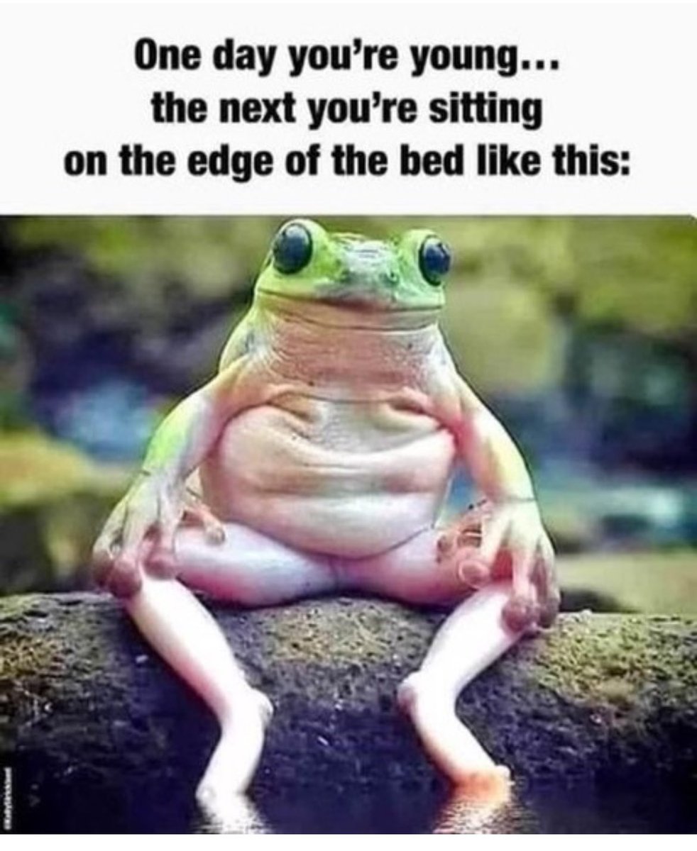 MORNING FUNNY - and Yes, good morning to you as well
