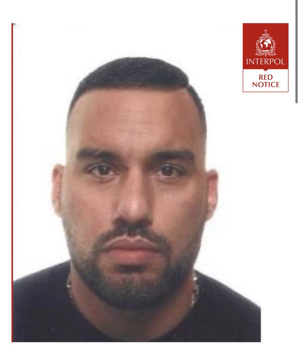 🌐 ᴛʜᴇᴘᴏʟᴀɴᴅɴᴇᴡs 🌐 tweet media