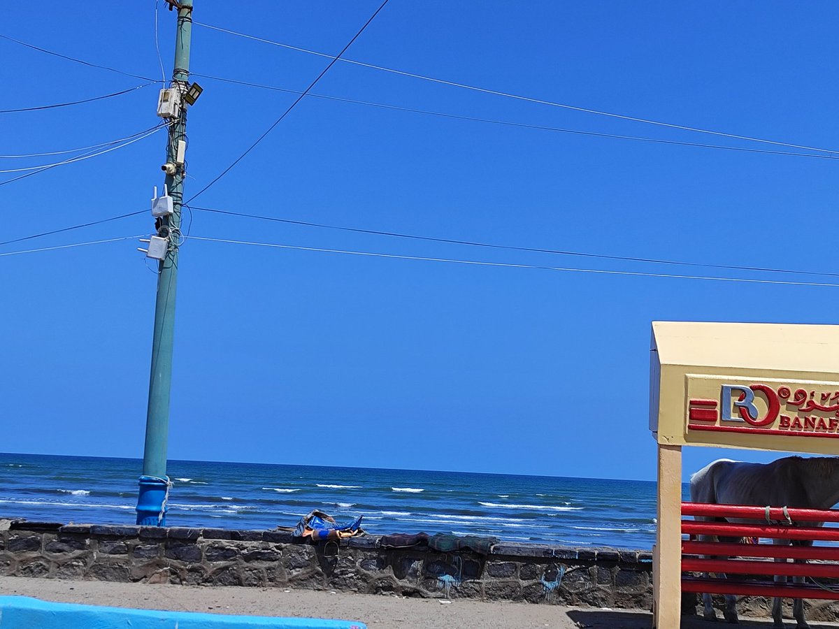 مساء الورد من ساحل أبين