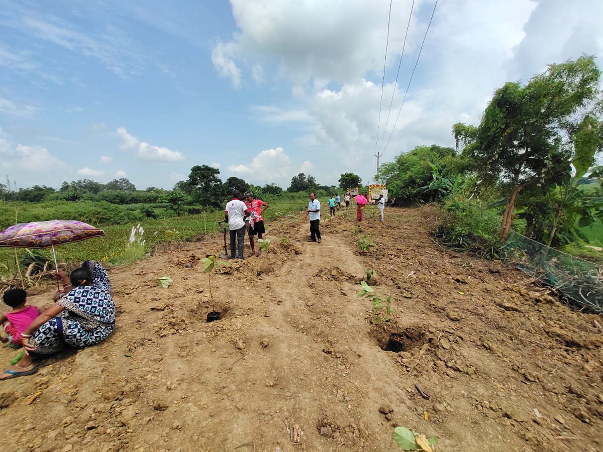 Ek Ped Maa Ke Naam 2.0. under Bahanaga Block. Let every sapling we plant be a tribute to our mothers and a promise for a greener tomorrow@FdOdisha <a href="/OdishaSecretary/">AgriSecyOdisha</a> <a href="/PRDeptOdisha/">Panchayati Raj and Drinking Water Department</a> <a href="/SMEOdisha/">EducationOdisha</a> <a href="/HFWOdisha/">H & FW Dept Odisha</a> <a href="/SSEPD2/">SSEPD</a> <a href="/WCDOdisha/">Department of WCD, Government of Odisha</a>