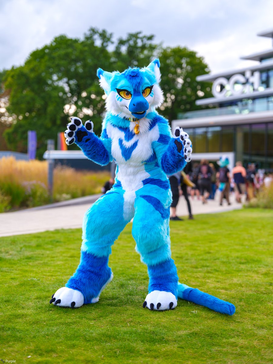 * wild dragoness appeared *
What will you do?

📷 - <a href="/PurpleDug_/">Purple! - (@Purple@woof.tech)</a>