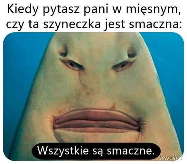 BiblioUkasz2's tweet photo. https://t.co/BCbPQ4eGLs