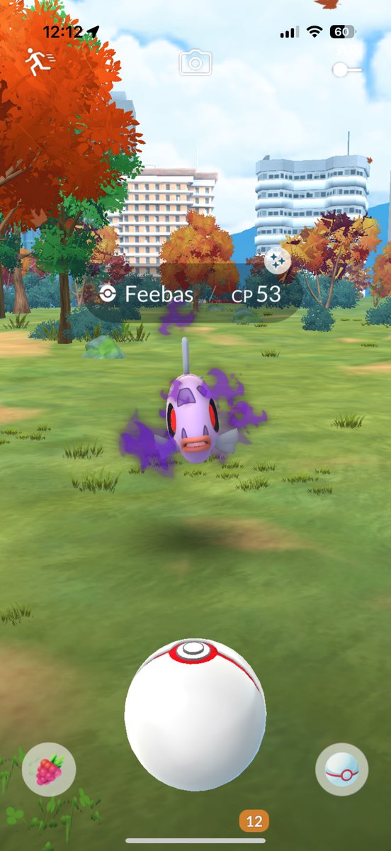 FIRST SIERRA AND BOOM! ✨✨