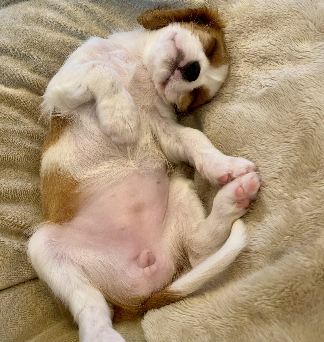 nanamaru0590's tweet image. 幸せおチビちゃん❤︎