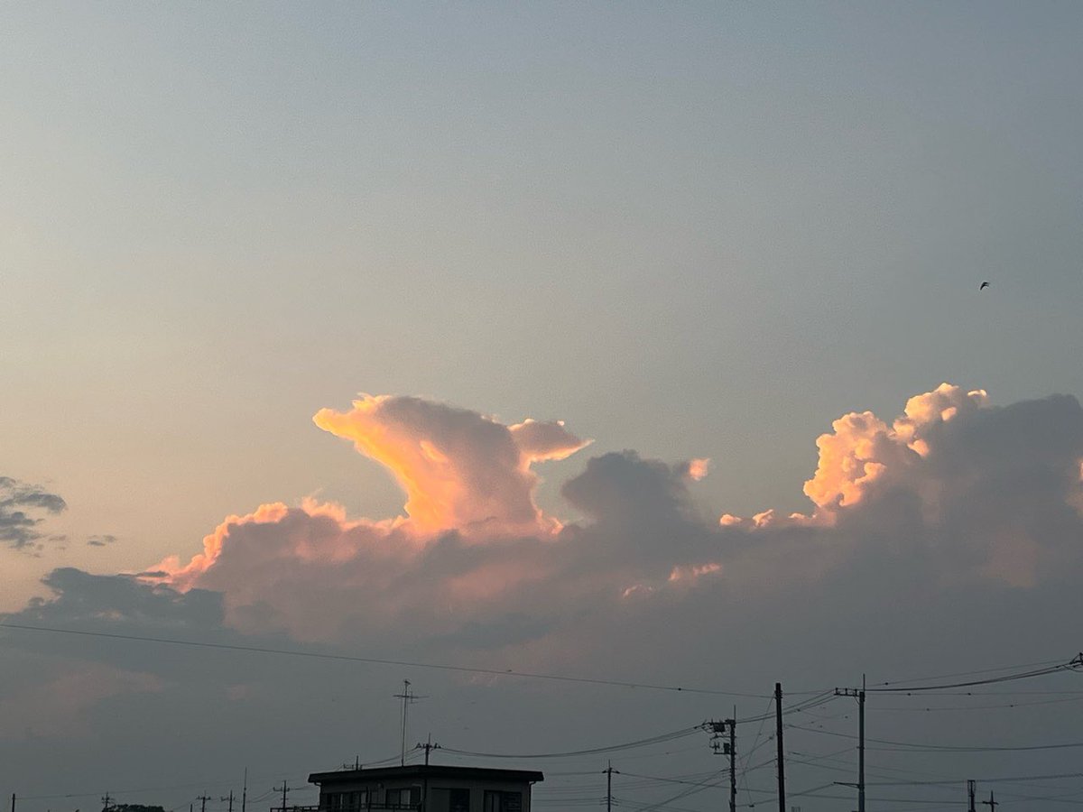 prst_tw's tweet photo. イルカみたいな雲だな https://t.co/vpfQiok2BS