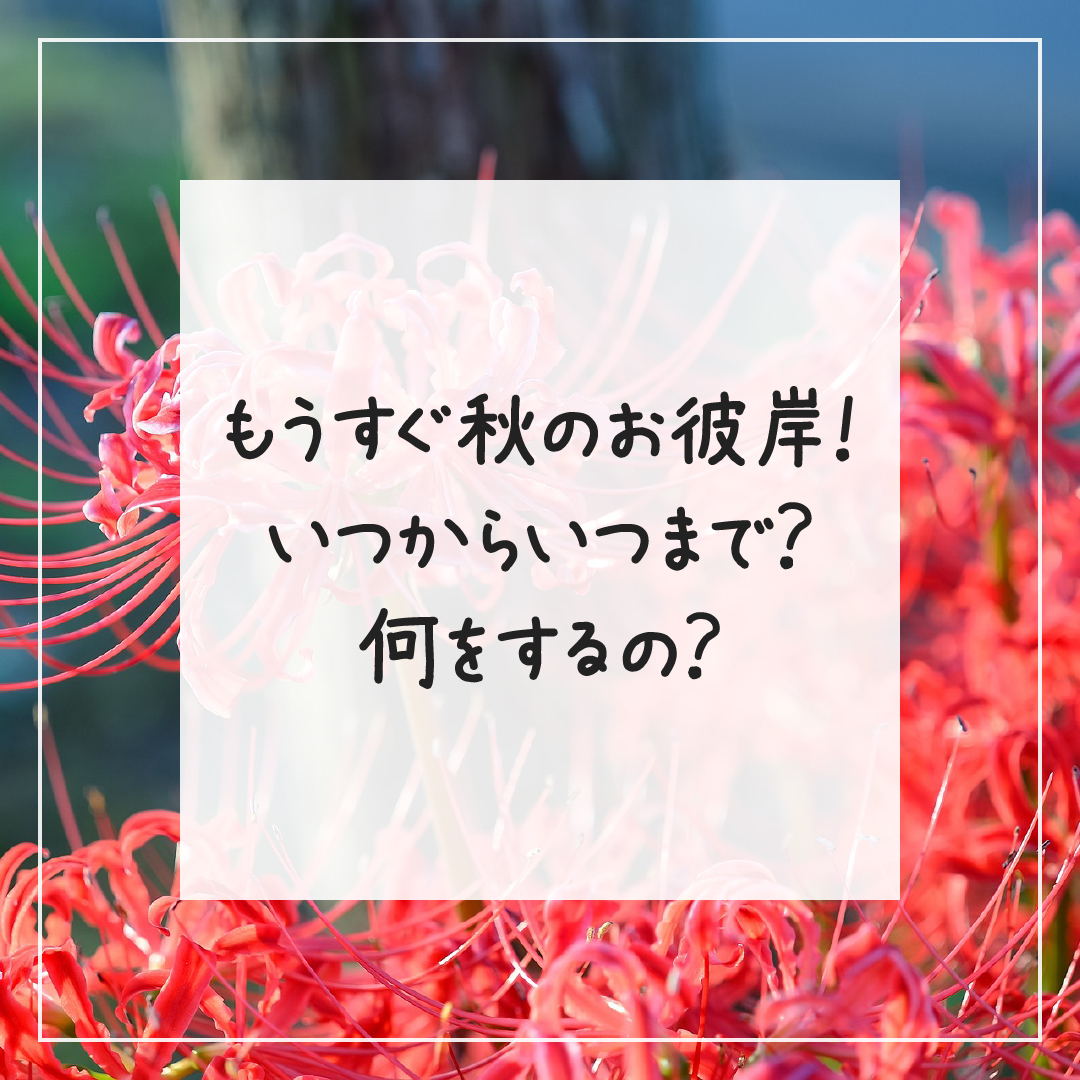 Yoitas_official's tweet photo. ┃もうすぐ秋のお彼岸！
┃いつからいつまで？
┃何をするの？

9月20日から26日までは『秋のお彼岸』。
9月23日の『秋分の日』をはさんで前後3日間、合わせて7日間が『秋のお彼岸』です。
https://t.co/GHjL1hPYYF

#お彼岸 #秋のお彼岸 #豆知識 #雑学 #今日の雑学 #ヨイタス #Yoitas https://t.co/Q23XnfqVT3