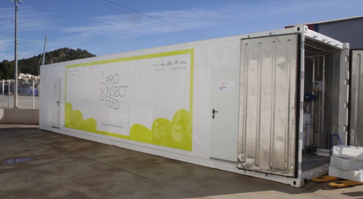 📽 En la recta final de #PROINSECTFEED, repasamos los logros iniciales en este vídeo: bit.ly/3ViEXuP.

🌱 Preparados para los resultados finales que vienen.

#HarinaDeInsecto #Sostenibilidad #Biotecnologia