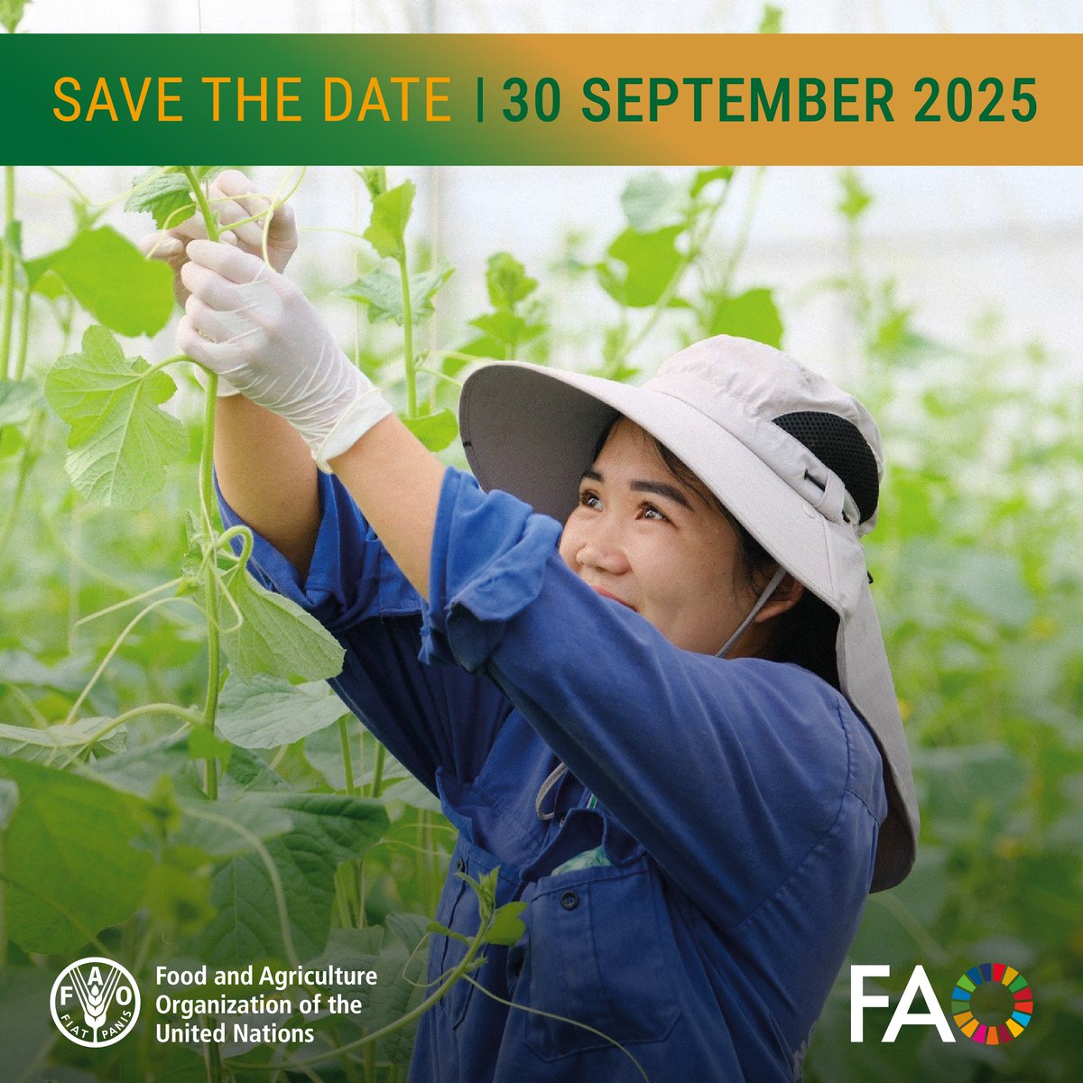 🆕webinar alert!

Transforming horticulture: <a href="/FAO/">Food and Agriculture Organization</a> Smart Farming Initiative in action

📆 30 Sept 2025 | ⏰ 12:30 CEST
Join to explore how this project is reshaping smallholder horticulture with a replicable model from Uzbekistan and Viet Nam.

Register➡️ buff.ly/QnKvaHG