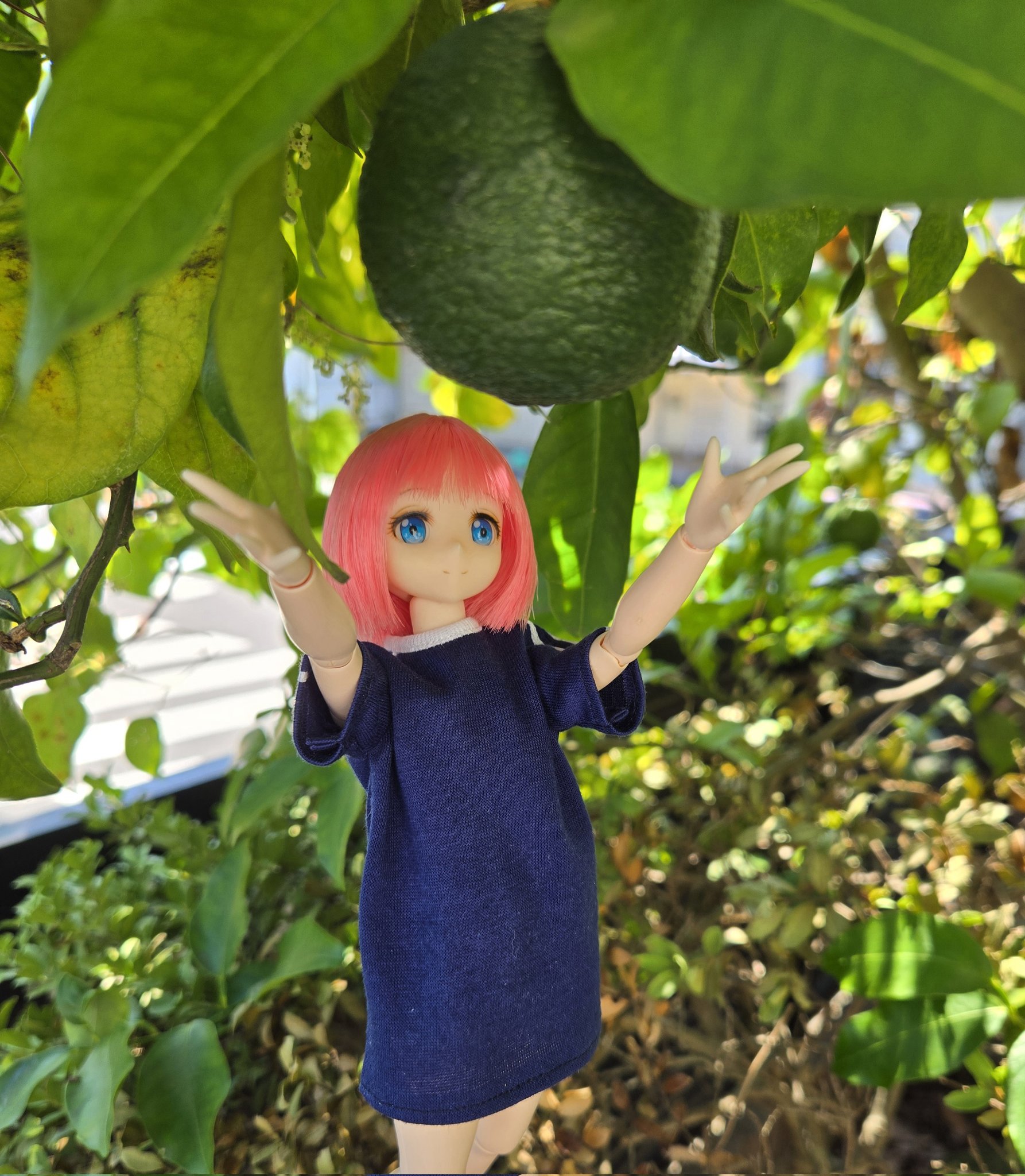 シーサイドピーチ🍑1/6軽装少女👧10月末～11月発売予定