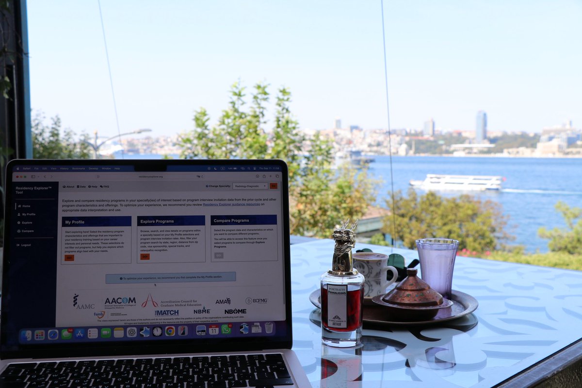 Preparing for residency application with this view is not too bad tbh.