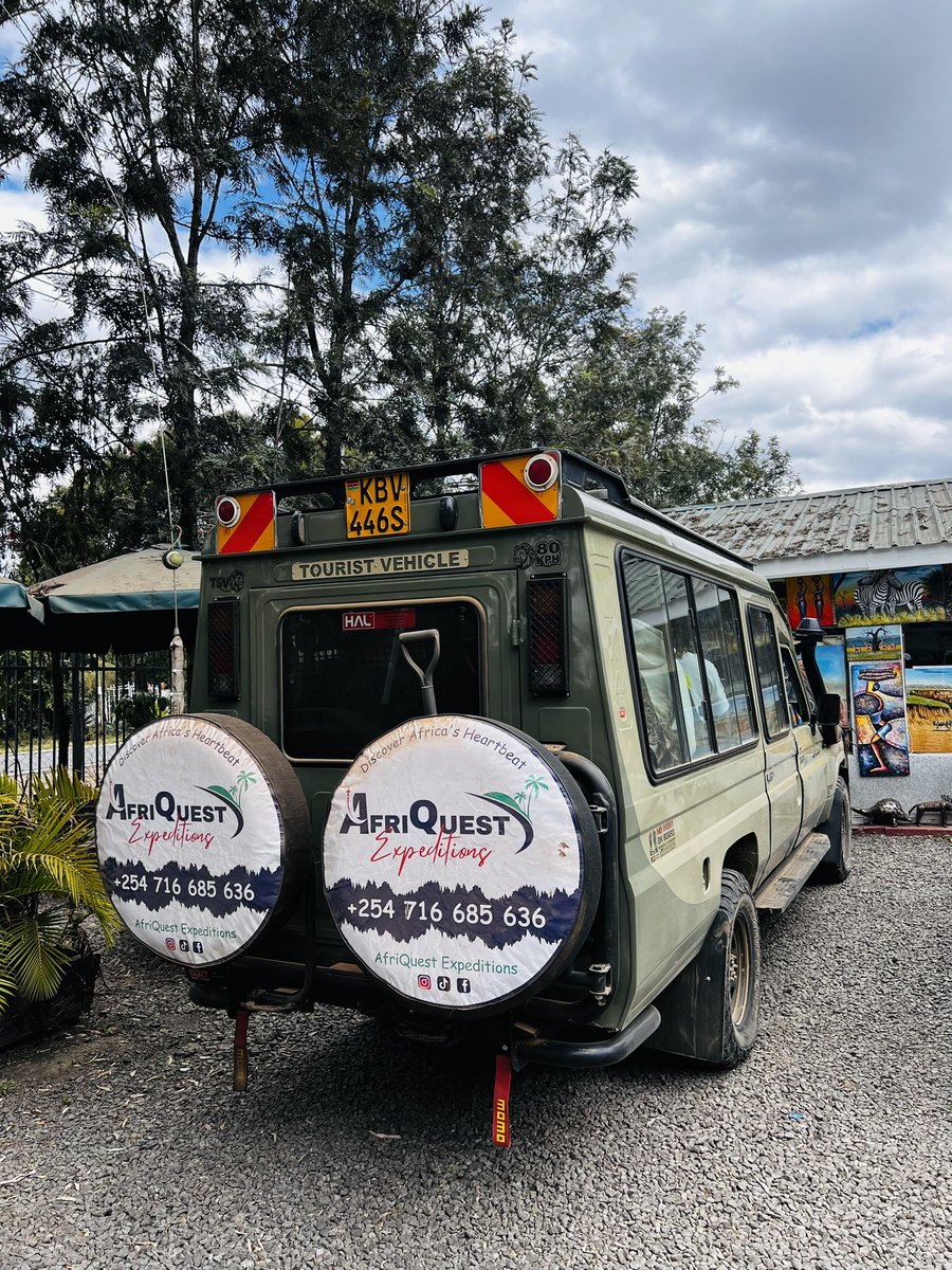 muli_brian_'s tweet image. We usually have a game drive every sunday at ksh 3,000 per person. 

6 hours game drive. Mkimaliza kwa park mapema we offer a complimentary to the Girrafe Center mkalishe giraffes kidogo na tuwadrop nyumbani 

My number m: 0716685636