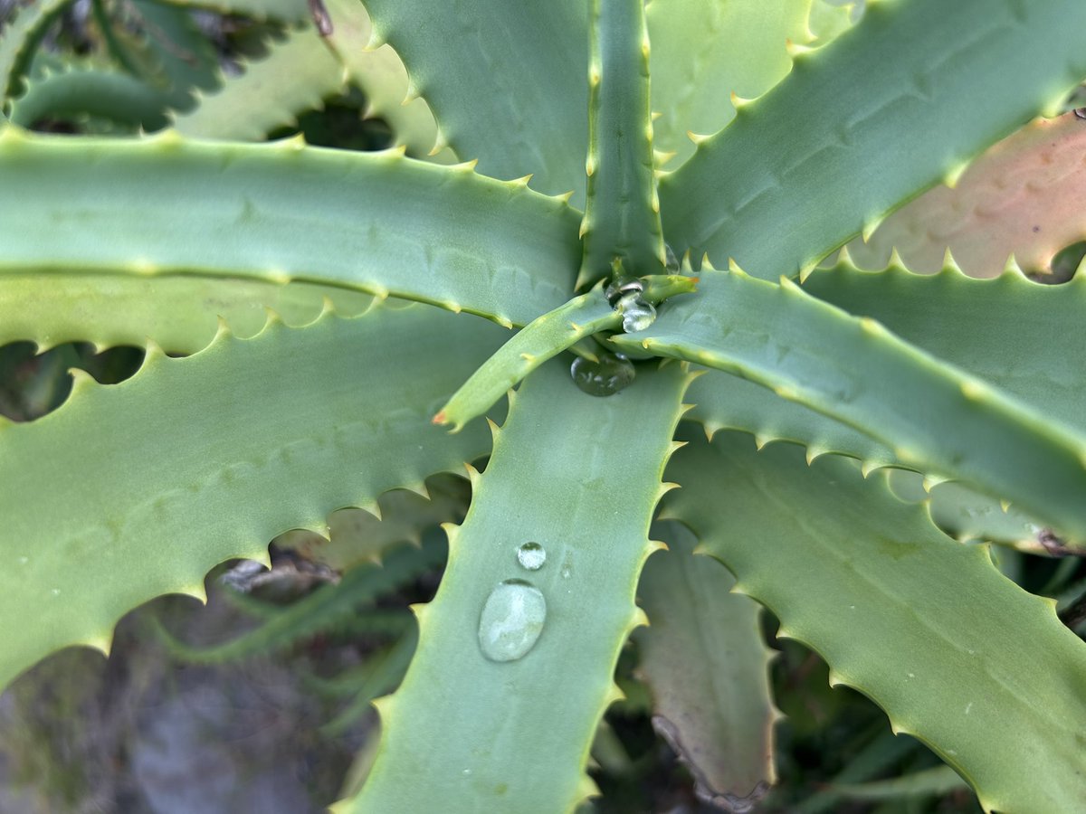 次のライブはギャランドゥ小田くんに呼んでもらったライブでます〜
「N.O.C」
9/22(月)
新宿バッシュ
開場18:45
開演19:00
終演予定 21:00頃
料金2000円

よろしこー