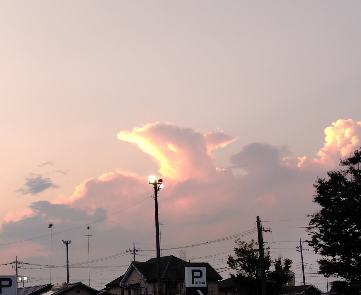 雲の顔 鳥頭 on X: 