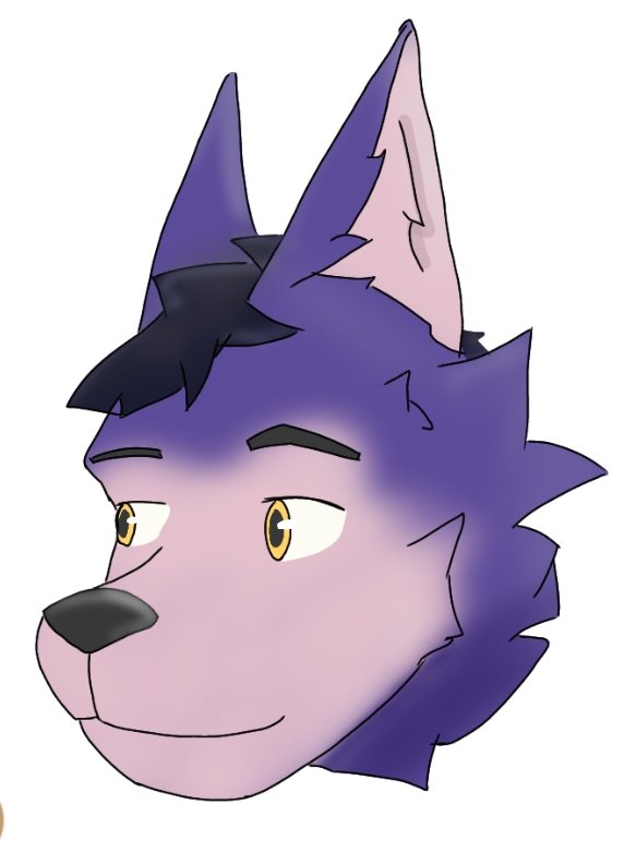 randomperson tweet media