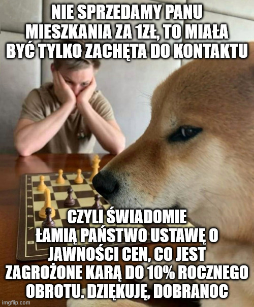 MAFIA DEWELOPERSKA tweet media