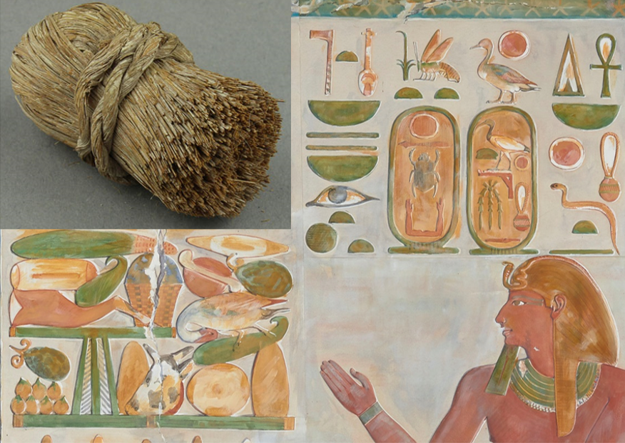 🖌️Ancient #Egyptian paintbrush in superb condition <a href="/BoltonLMS/">Libs and Museums</a>, alongside Howard Carter's huge watercolour of #Pharaoh Tuthmosis I on loan from <a href="/TheEES/">The Egypt Exploration Society</a> 
😍See both this Saturday 20th in our lecture with optional interactive study day, last few tickets at:
eventbrite.co.uk/e/boltons-egyp…