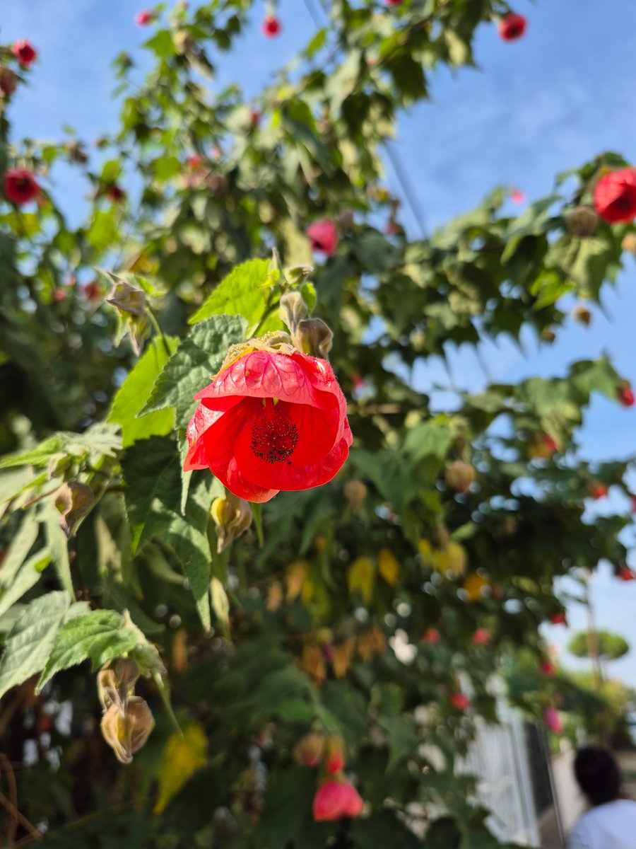 Hayat, cevabını bilmediğimiz sorularla değil; 

Sormaya cesaret edemediğimiz sorularla sınar bizi.......