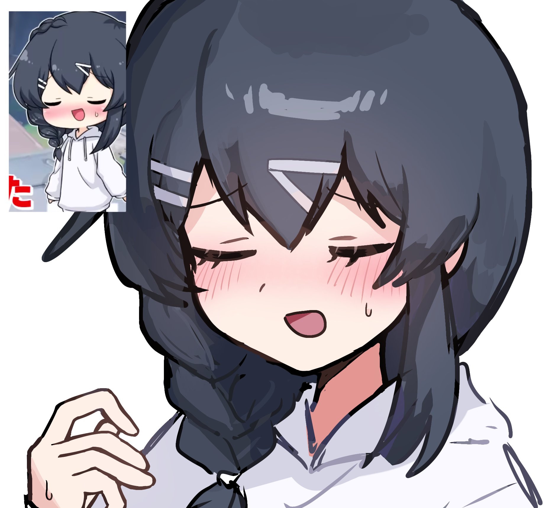 まんじうネコ。 on X: 
