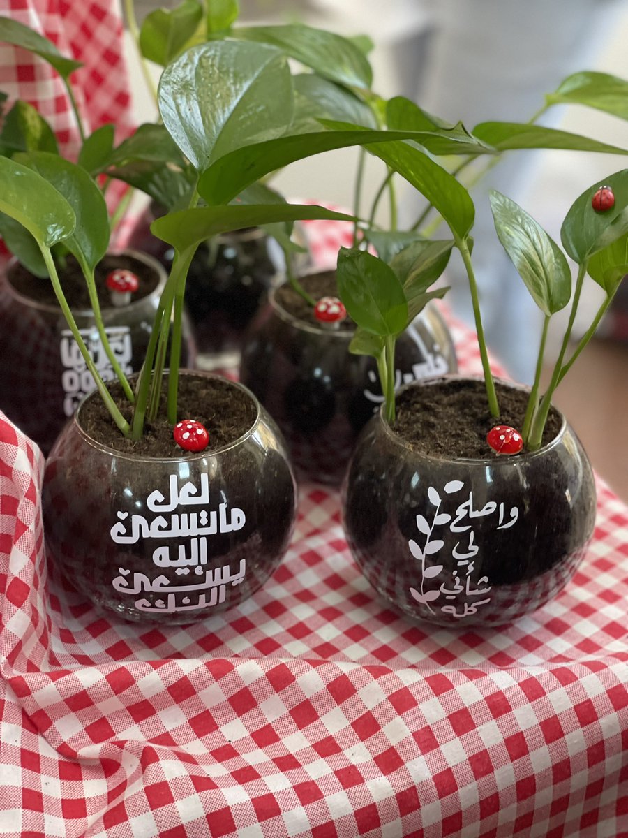 •Roaa🪐• tweet media