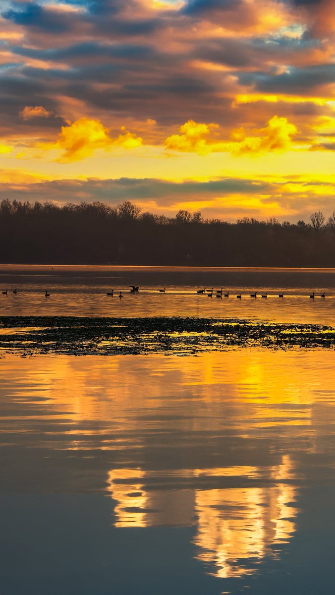 SearchJake's tweet image. My pic, my prompt. gm 🌞
#galaxys25ultra #photoshopmobile #generativefill #digitalart