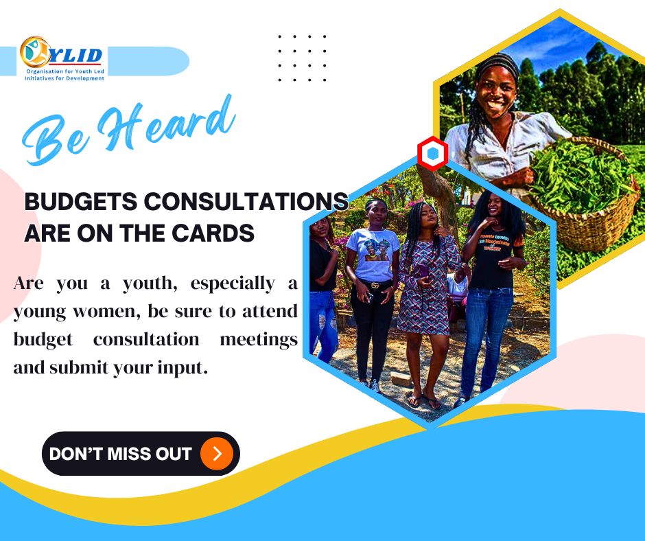 Are you are youth?
Are you a young women?
Be sure to attend budget consultation meetings in your area give your input.