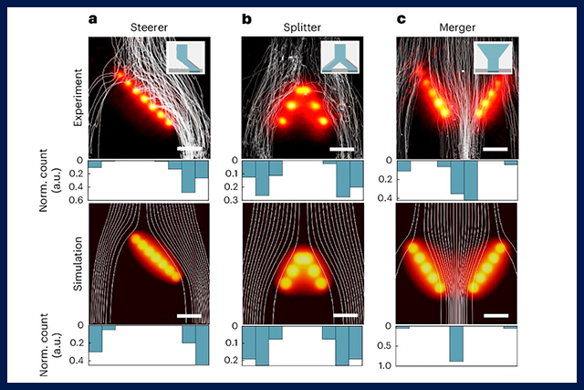 Una nueva tecnología controla flujos en tres dimensiones a partir de barreras virtuales generadas con luz <a href="/EmilioRuizReina/">Emilio Ruiz Reina</a> <a href="/NanoTLab/">Nanoparticles Trapping Lab (NanoTLab)</a> <a href="/QuidantL/">Quidant’s Lab</a> <a href="/InfoUMA/">Universidad de Málaga</a> <a href="/CanalUGR/">Universidad Granada</a> 
uma.es/sala-de-prensa…