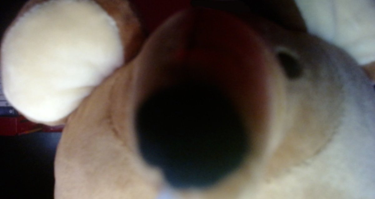 Who's phone is this?