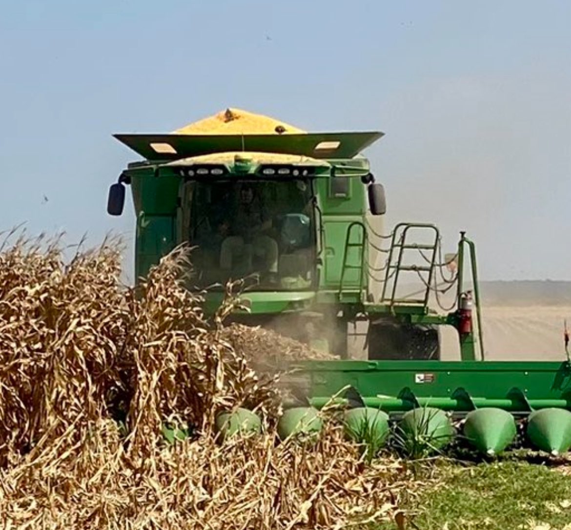 Tim “Clownshow Farms” Braun tweet media