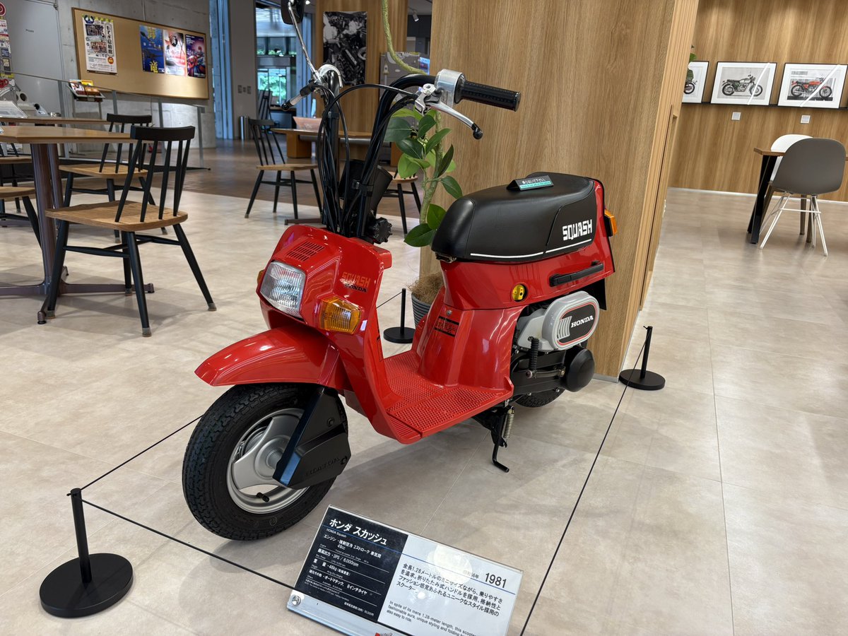 カブカブカブ (@8M2wdpHlGn3ZmMI) / Posts / X