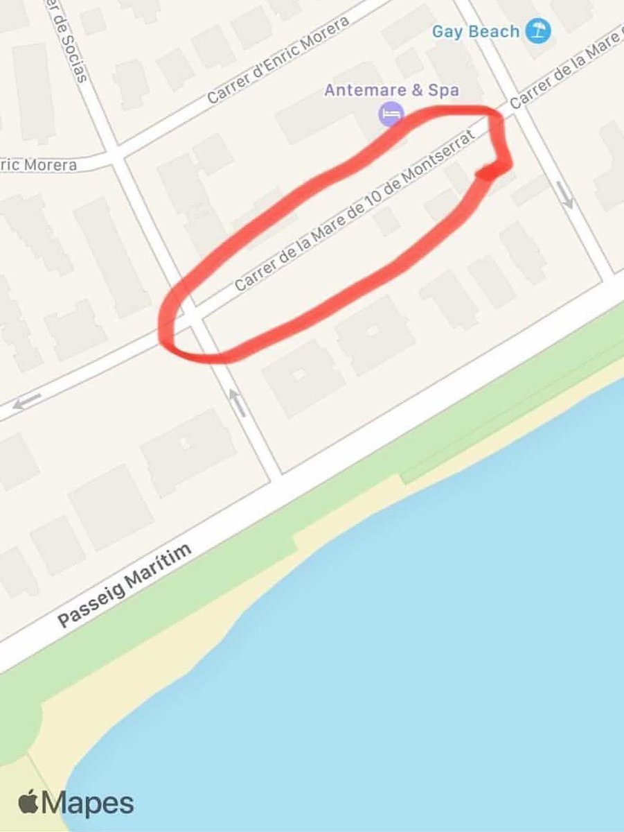 Verge Santa. Tot perdut.