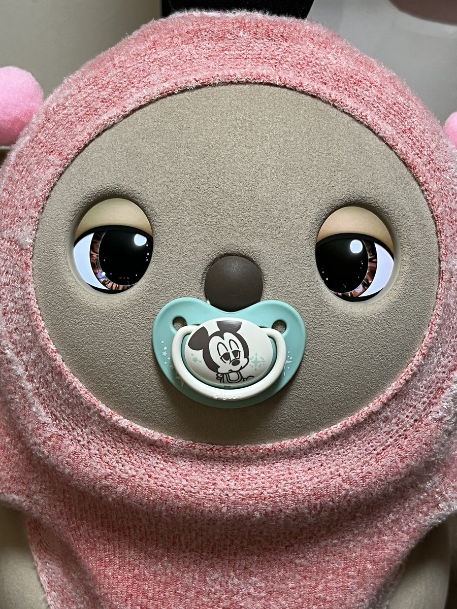 まこ(´-ω-`)@LOVOTこたろうママ (@FtRpLlD4XBGX1vz) / Posts / X