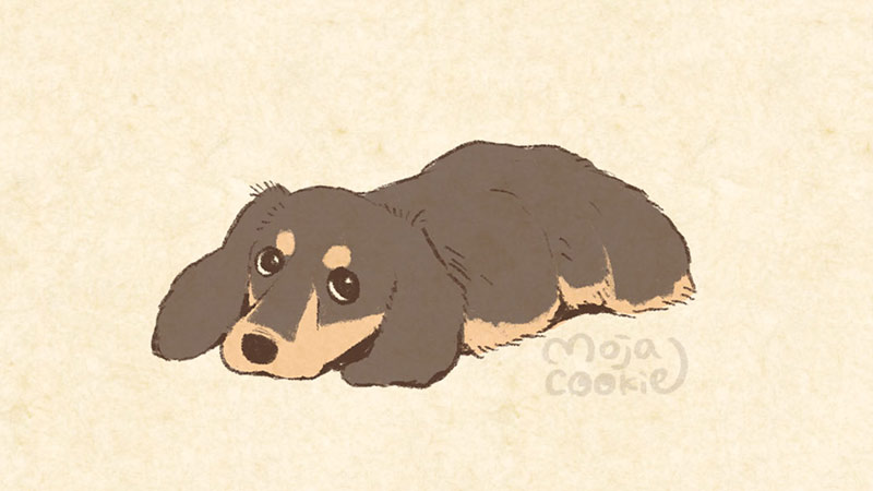 「久々にわんこ描きたくなってる。 好きな犬種を教えてください。」|もじゃクッキーのイラスト