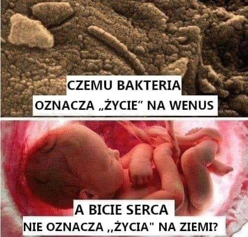 Dariusz Brzozowski (@darekbrzoza) on Twitter photo 