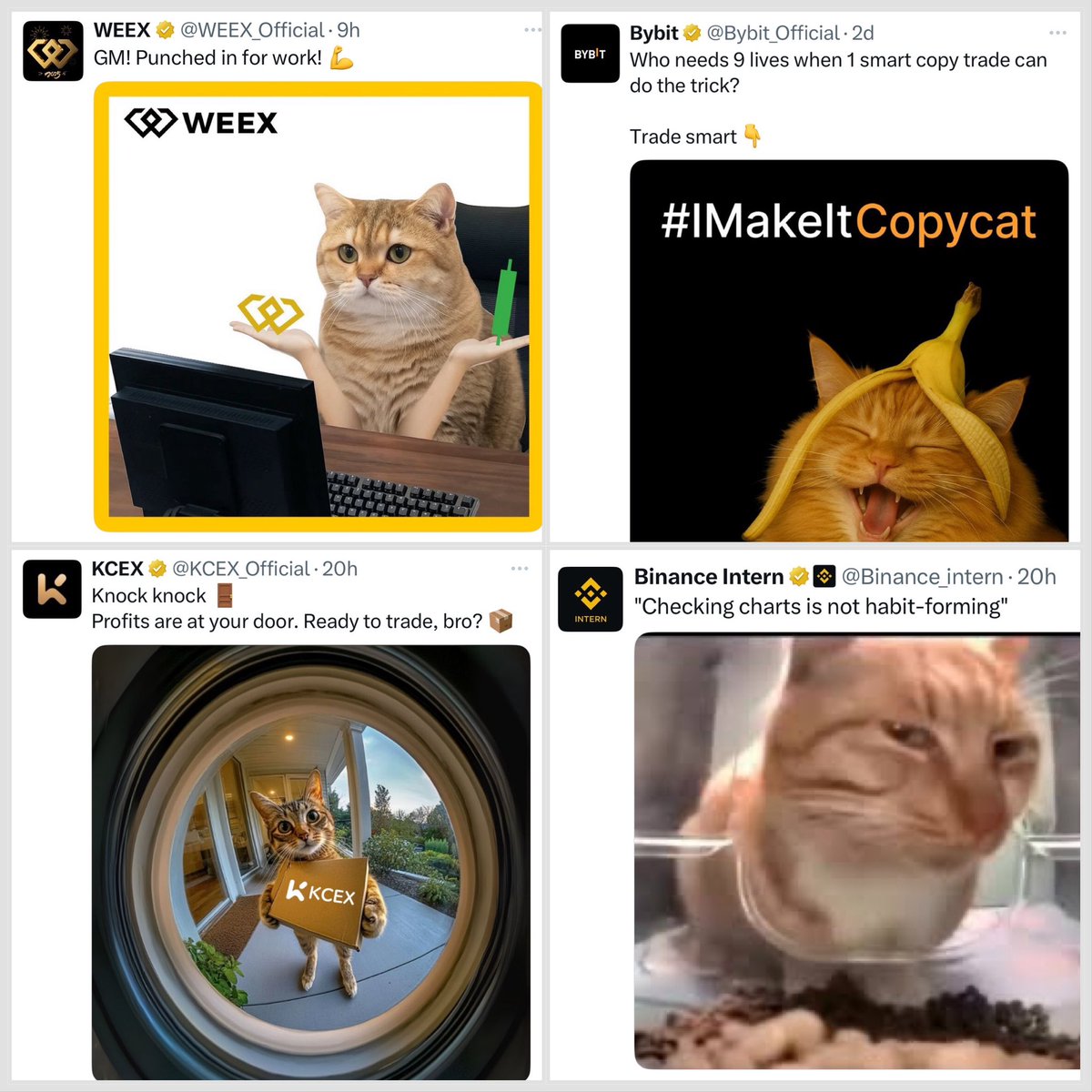 Tweet media one