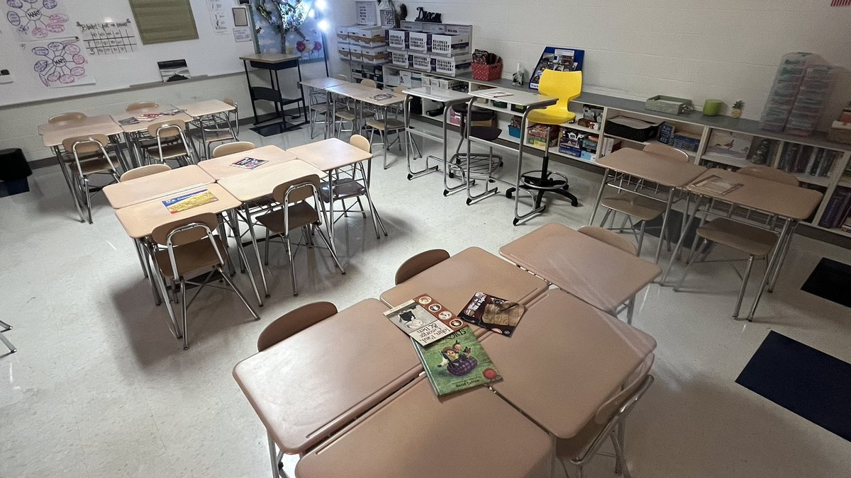 Gina Stabile tweet media