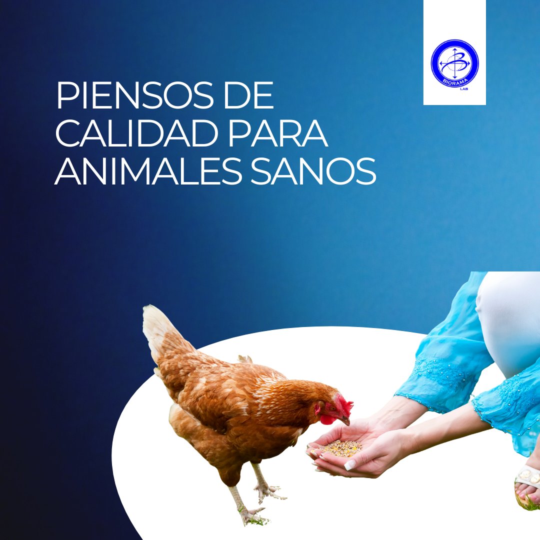 Analizamos proteína, grasa, humedad y micotoxinas.
La calidad del alimento animal se nota después.
🌐 bioramalab.es
#Biorama