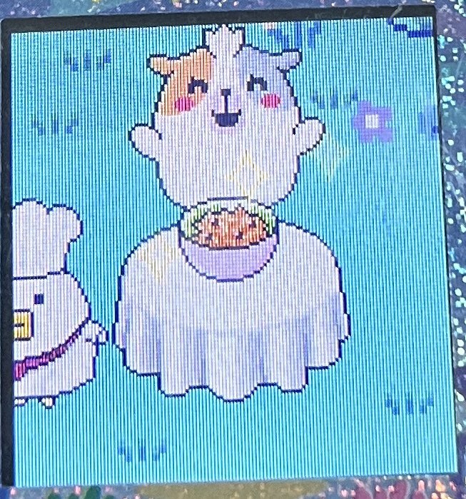 もるもっちのお食事