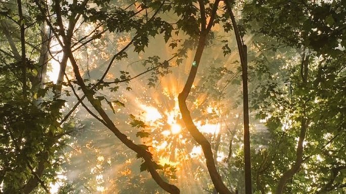 I' (@moodyonmoon) on Twitter photo 