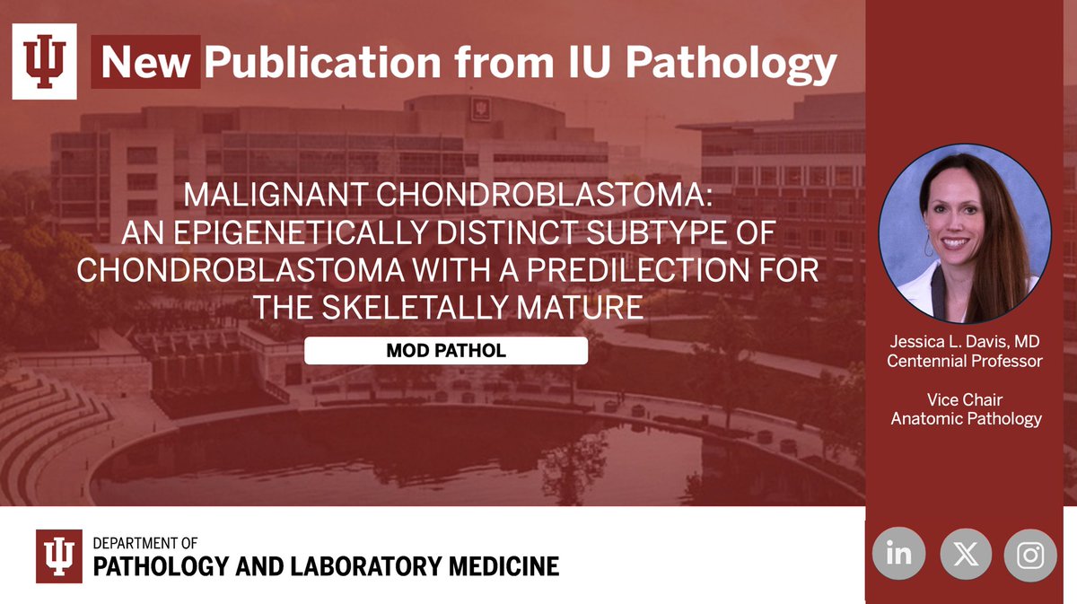 IUPathology tweet media